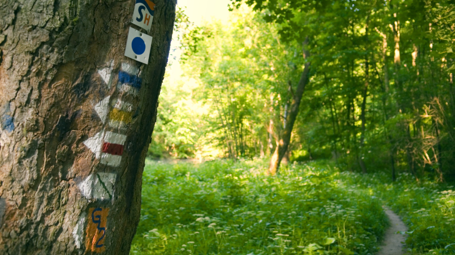 © JenaKultur, Foto: Frits Meyst Wanderweg in Jena mit Streckenmarkierungen © JenaKultur, Foto: Frits Meyst