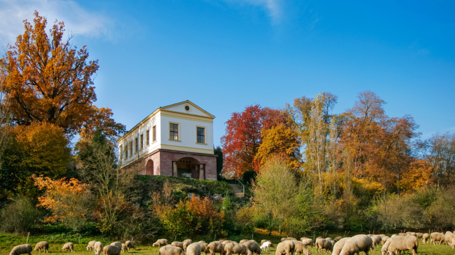 Quelle: weimar GmbH, Foto: Matthias Eckert Römisches Haus im Ilmpark mit Schafherde im Vordergrund
